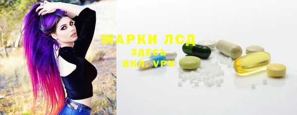 тгк Алзамай