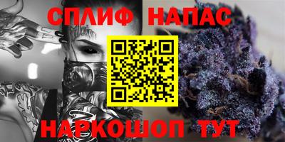 сатива Кандалакша