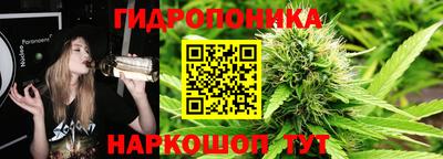 2c-b Канаш