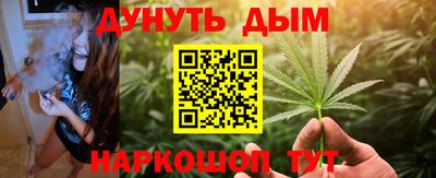 сатива Кандалакша