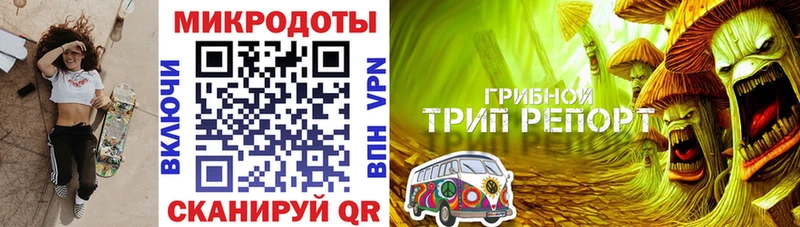Галлюциногенные грибы прущие грибы  закладка  Осинники 