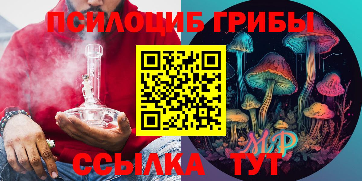 Осинники  Галлюциногенные грибы Psilocybe  Галлюциногенные грибы мицелий  Вход с VPN 