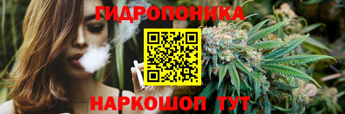 Бошки марихуана индика  Вход с VPN  Конопля индика  Конопля планчик  Осинники  Шишки марихуана LSD WEED 